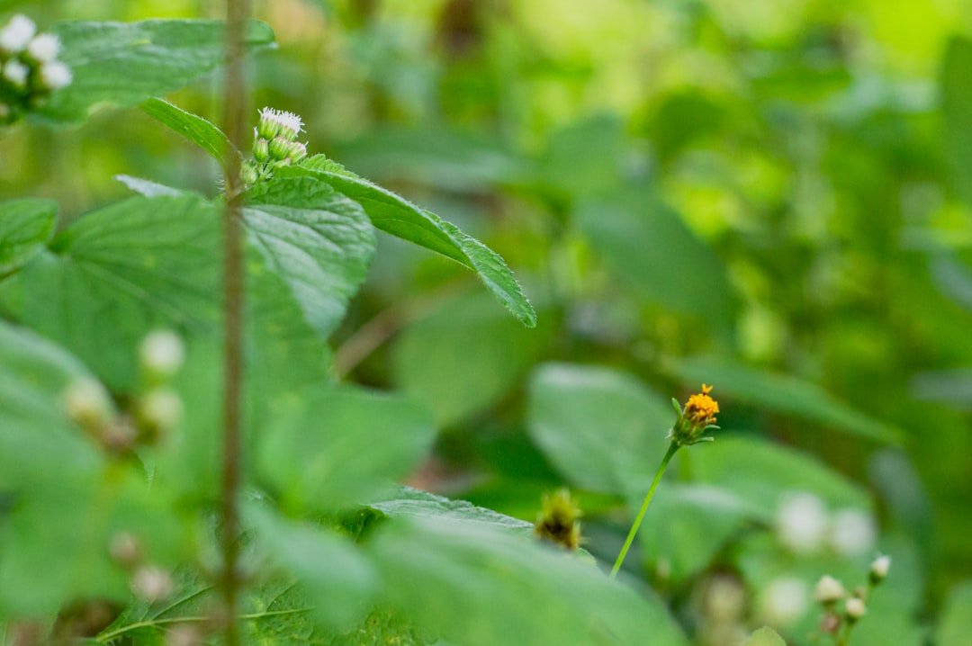 perabet kullanici adi onerileri 05e81e3a